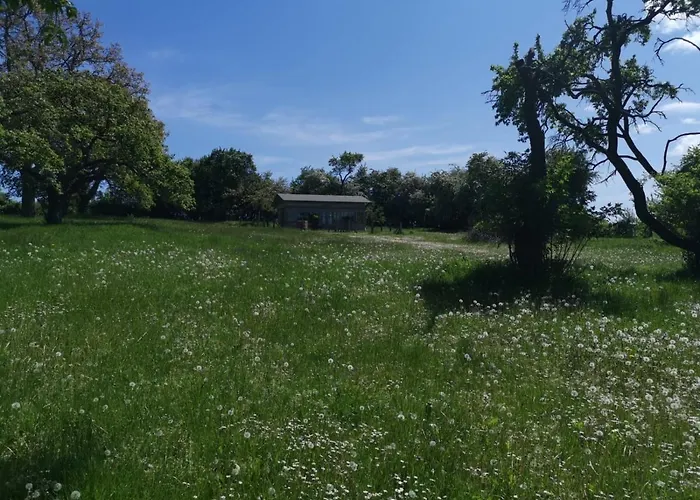 Gutshaus Thorstorf Wohlenberger Wiek شقة *